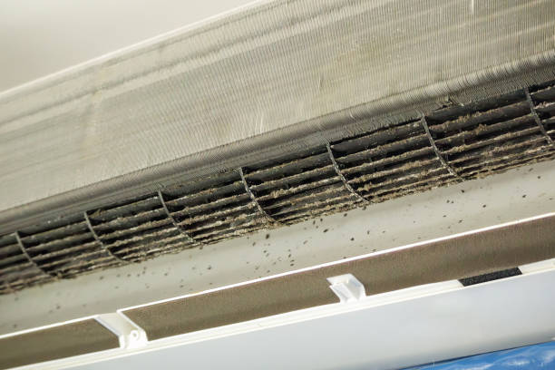 Best HVAC Duct Inspection Services  in Wilmington, NC
